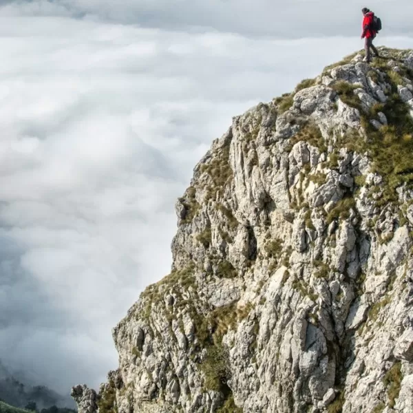 Hard work always pays off!