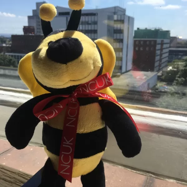 Professor Bee welcomes the new academic year