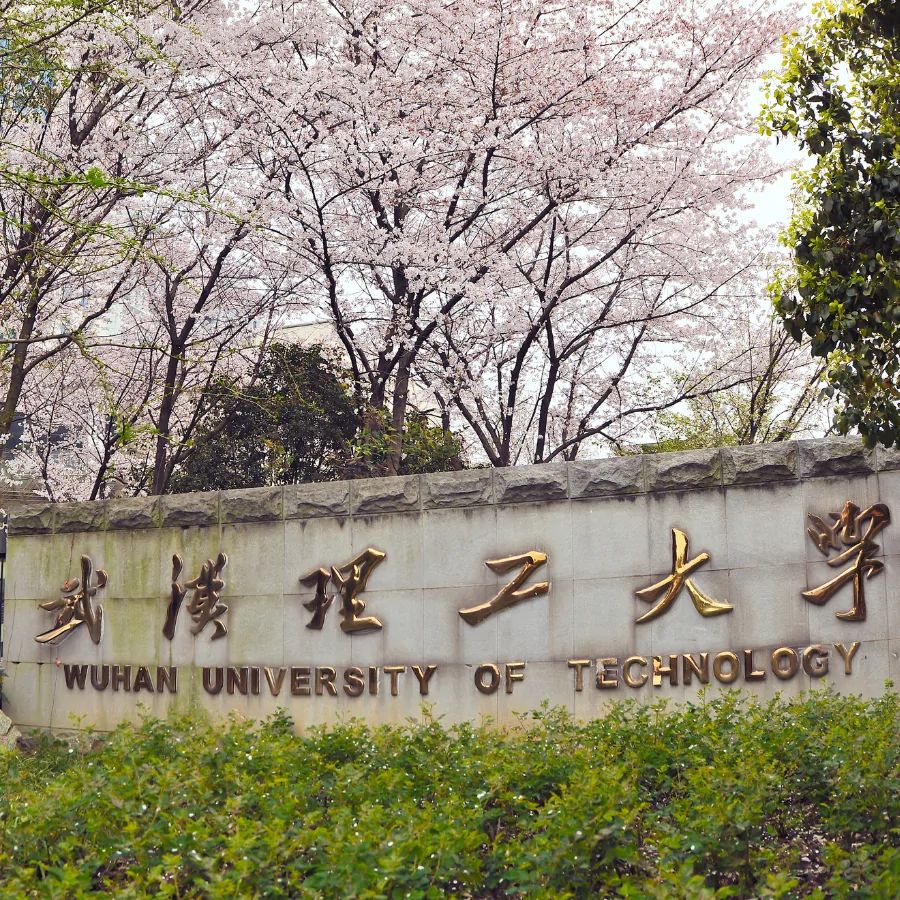 Уханьский технологический университет (WUT)